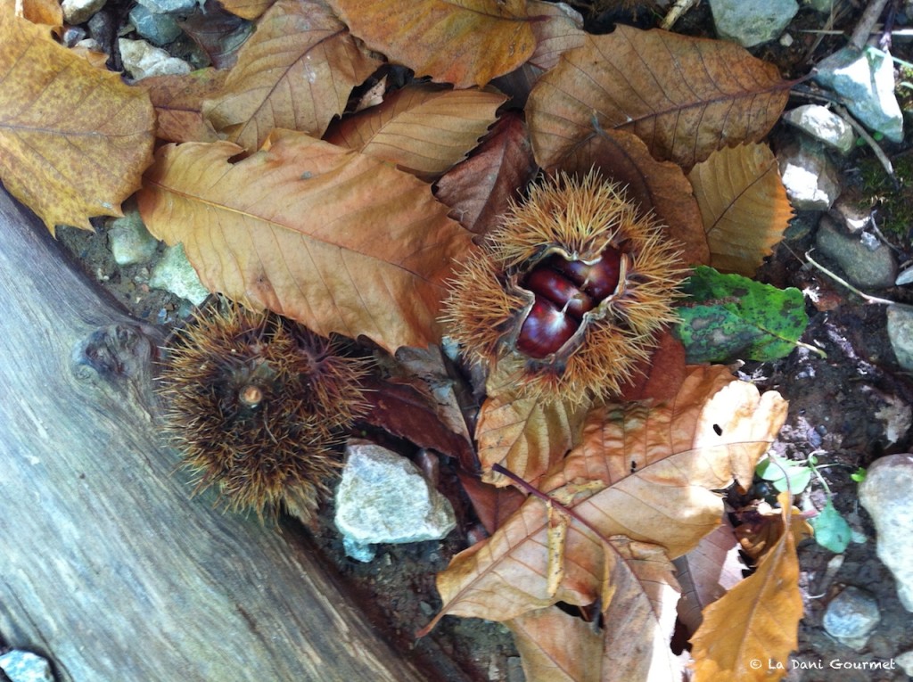 Castagne Alta Versilia