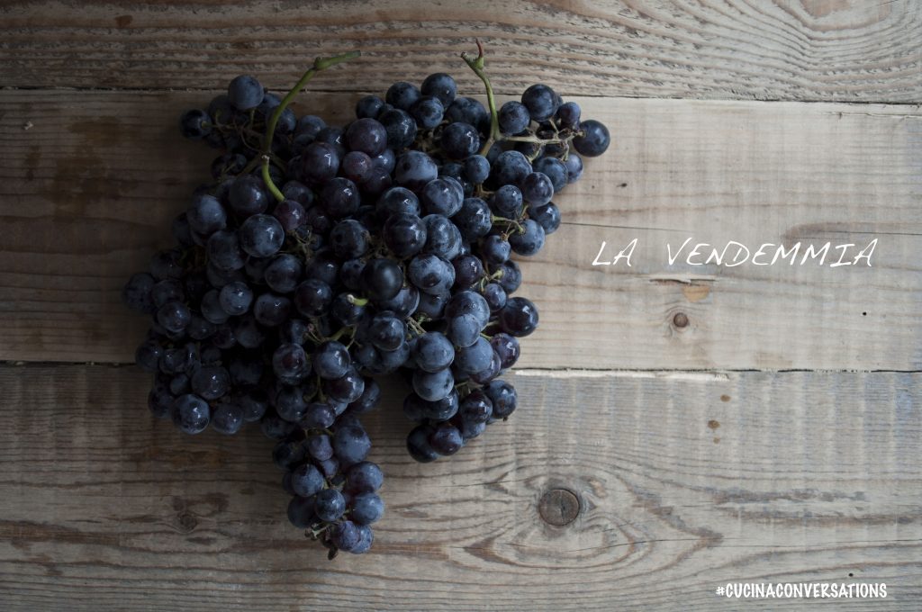 La Vendemmia - Cucina Conversations