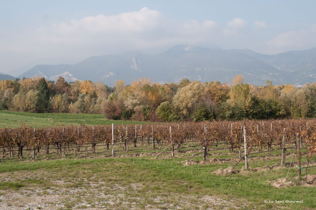 Bersi Serlini Franciacorta