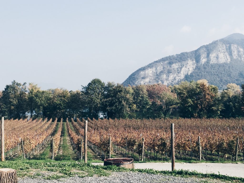 Franciacorta