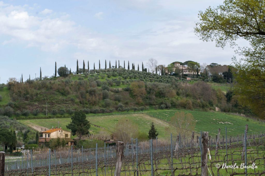 Tempranillo Pietro Beconcini